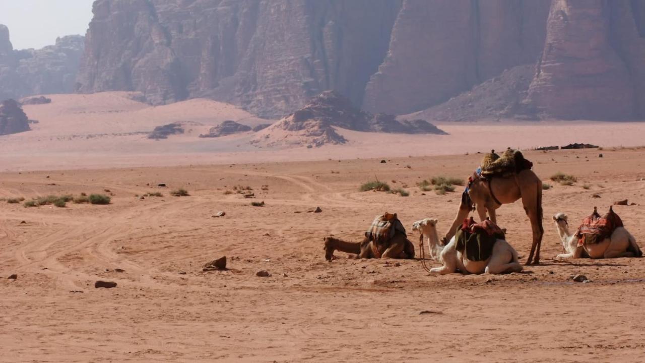 Bedouin Memories Camp Hotel Wadi Rum Exterior photo